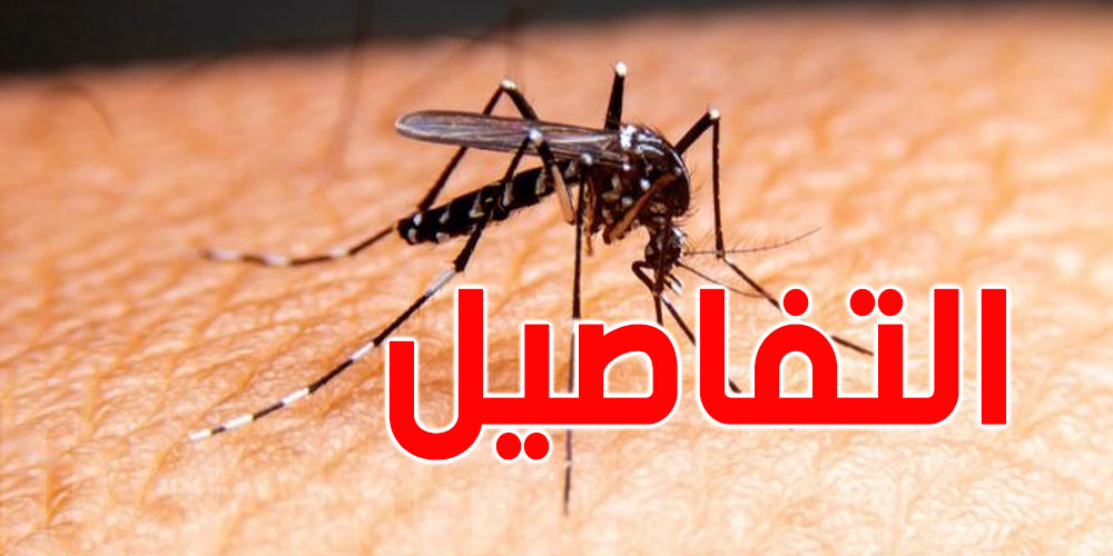 خمسة أسباب تجعلك جاذبا للدغات ''الناموس''
