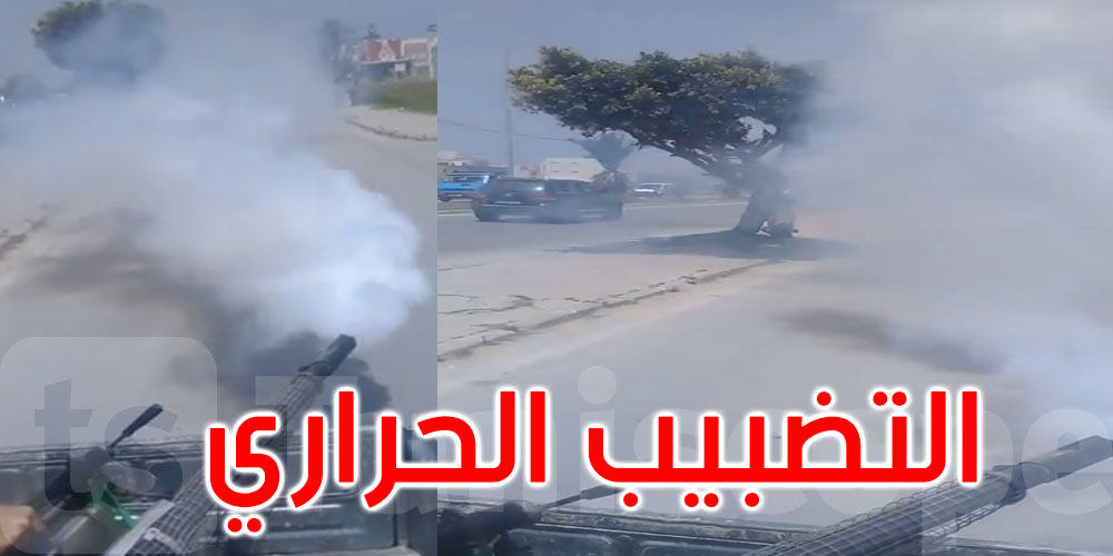 بنزرت: تدخل عاجل عبر التضبيب الحراري للسيطرة على انتشار حشرة Chironomidae 
