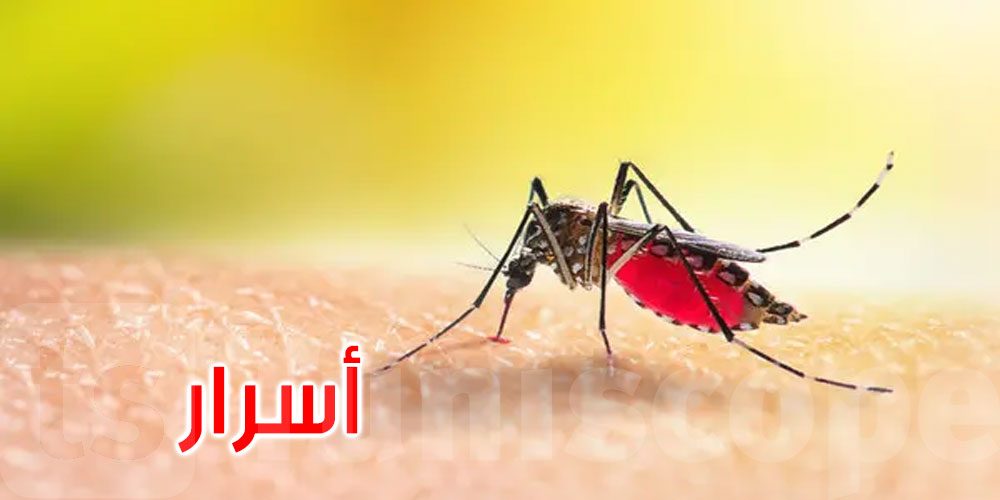   لغز حيّر العلماء.. لماذا يلدغ البعوض بعض الأشخاص أكثر من غيرهم؟ 