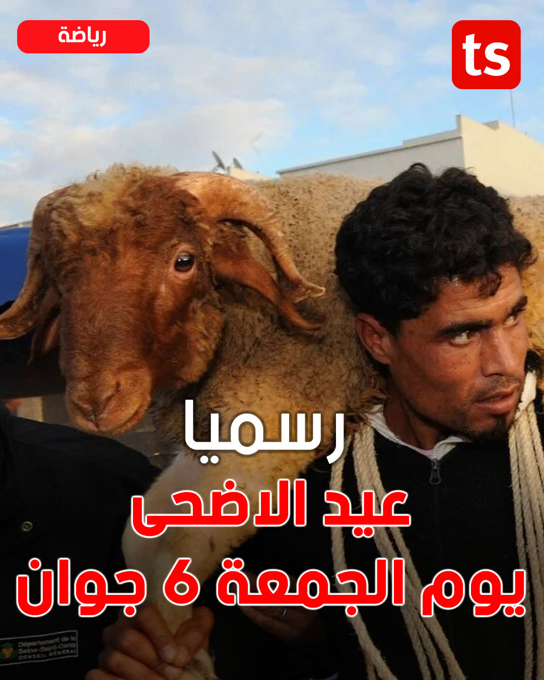 Tunisie – Aïd 2025 : le Synagri casse le prix officiel du mouton