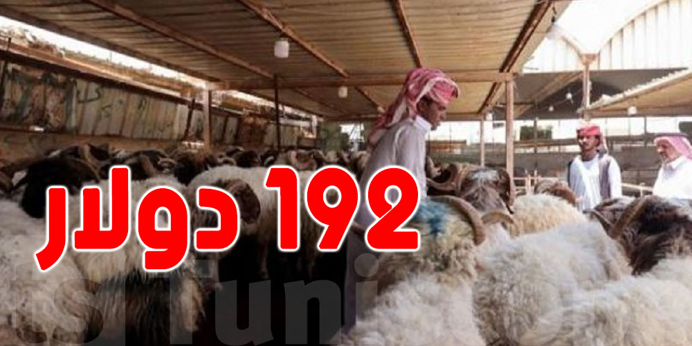 مهم للحجيج التونسيين: الضحية بـ 192 دولارًا والسعودية تُحدّد الجهات الرسمية