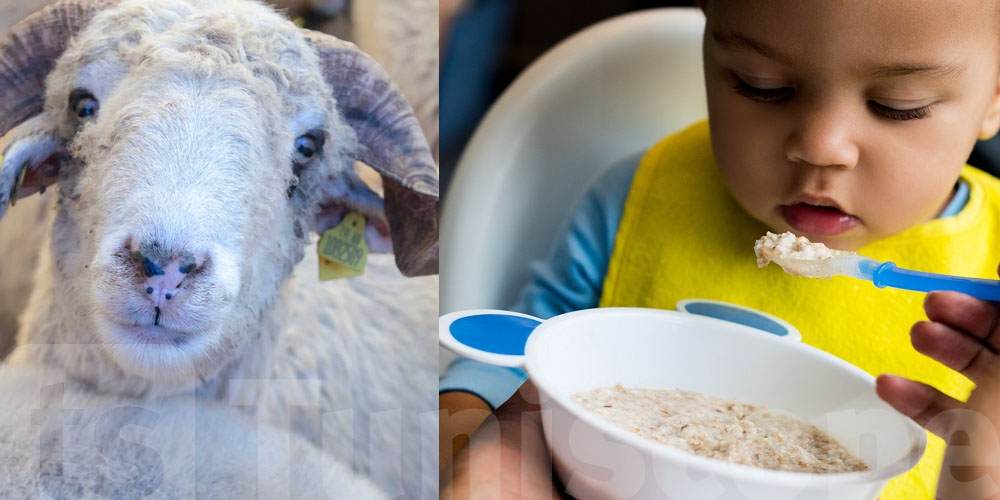 شنوّا تنجم تعطي لطفلك من لحم العيد؟ نصائح غذائية مهمّة لكل أم تونسية