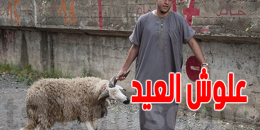 في قفصة : علوش العيد يوصل للـ3 ملايين و 200