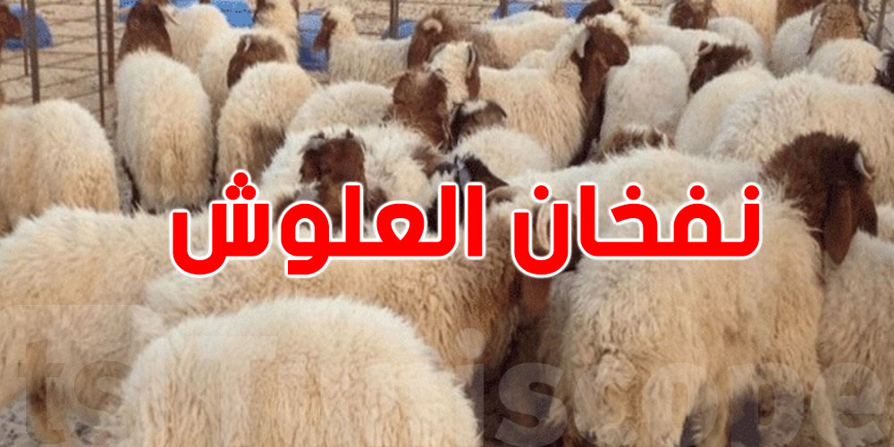 ردّ بالك كي تجي ''تُنفخ العلوش'' تستعمل فُمك...خطر كبير