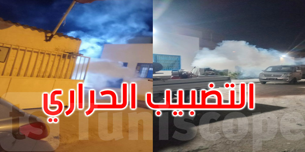 بلدية تونس: حملة ليلية لمقاومة الوشواشة في هذه المناطق