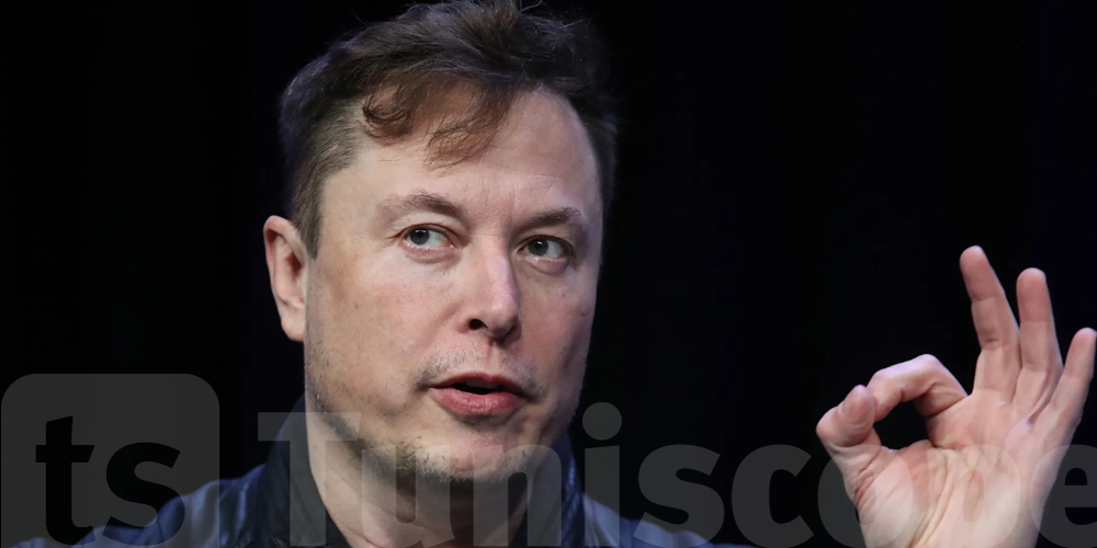 Elon Musk devient père pour la 12ème fois