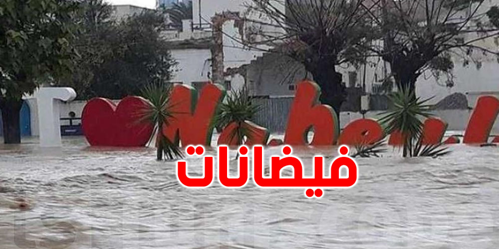  نابل: نفوق 125 ألف دجاج و900 رأس غنم بسبب الفيضانات 