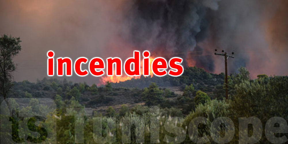 Plusieurs incendies maîtrisés à Nabeul