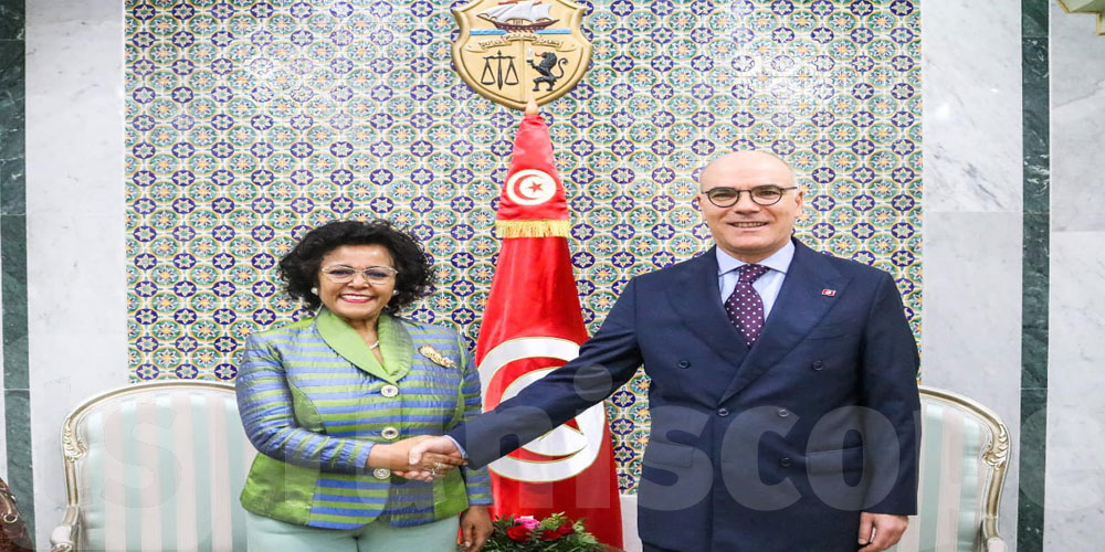 نبيل عمار يجدد حرص تونس على دعم تعاونها مع وكالة الاتحاد الإفريقيّ للتنمية