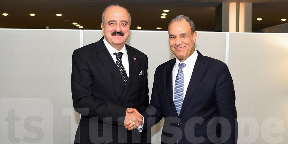 La Tunisie et l’Égypte réaffirment leur coordination sur les dossiers arabes et régionaux, y compris la Palestine