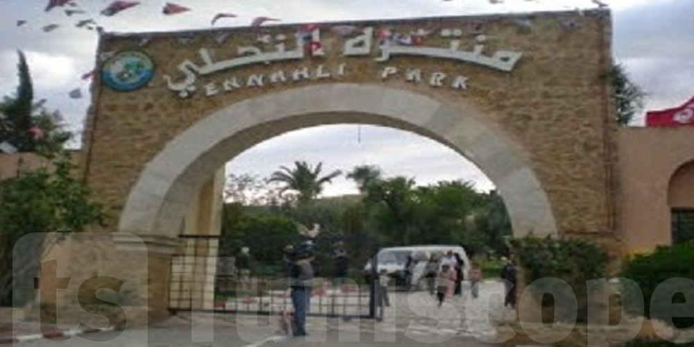 غلق منتزه النحلي اليوم.. والسبب ''الخنزير البري''