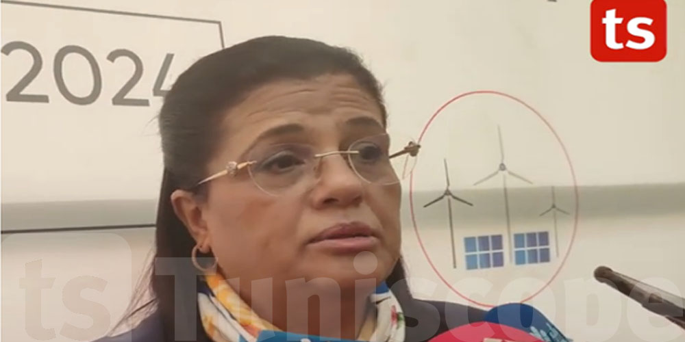فيديو - منتدى تونس للاستثمار : وزيرة المالية تعلن عن  مشروع ضخم و مهم  لاستقطاب المستثمر الأجنبي     