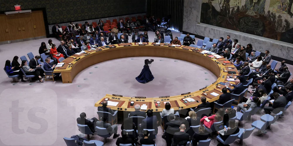 يوم الجمعة: مجلس الأمن يصوت على طلب فلسطين الحصول على العضوية