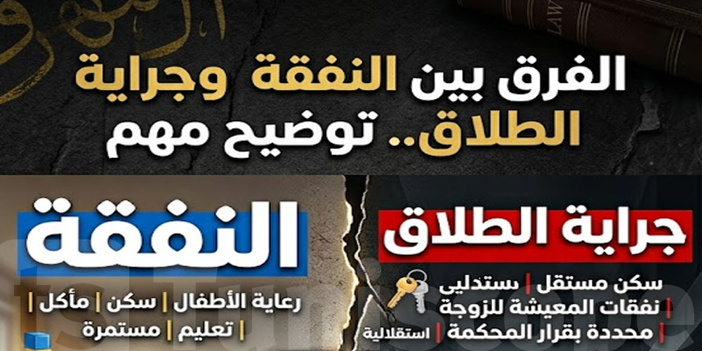 الفرق بين النفقة وجراية الطلاق.. توضيح مهم