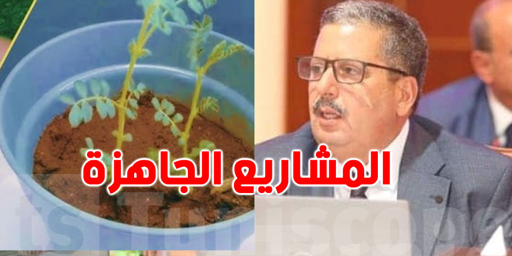 وزير التربية: كفى...حتى النبتة تباع جاهزة