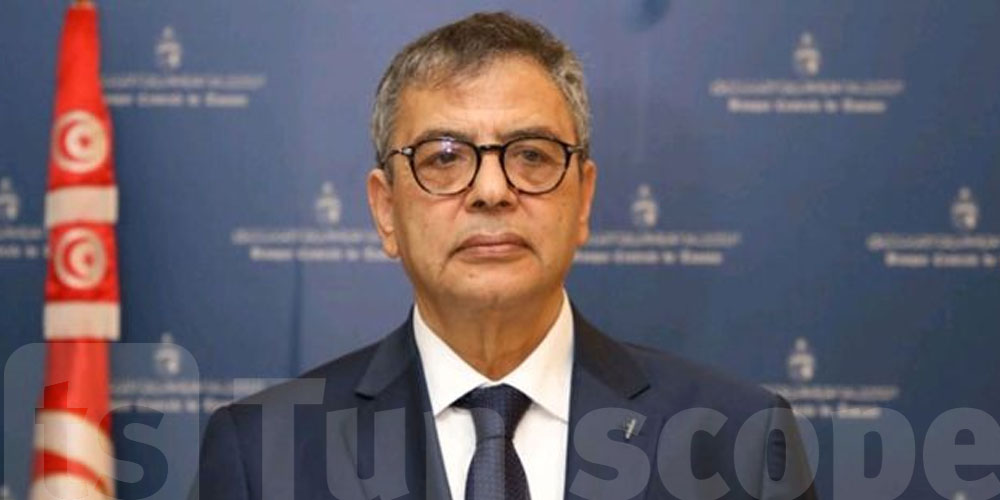 فتحي النوري : 120 دولارًا شهريًا... تحويلات التونسيين بالخارج أقل من المعدل العالمي بكثير!!
