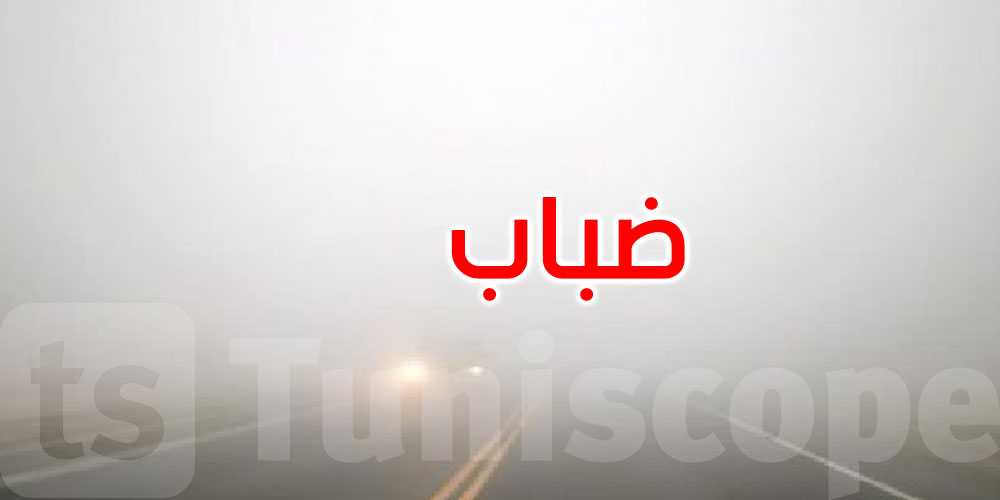 الرصد الجوي يحذر من ضباب محليا كثيف بقية الليلة وصباح الغد