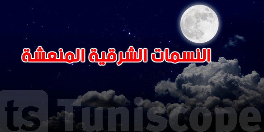 محرز الغنوشي:''الليلة القادمة عنوانها النسمات الشرقية المنعشة''