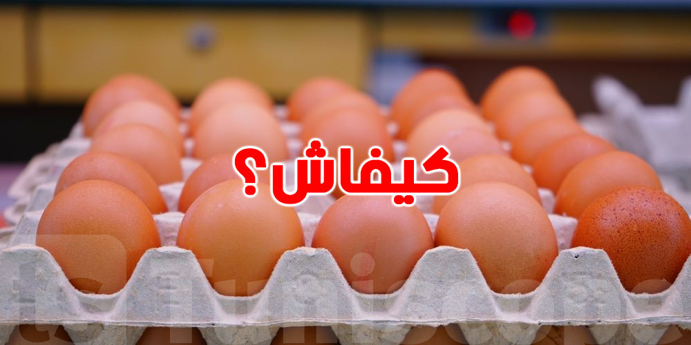 خطوة جديدة باش تطيّح أسعار ''العظم'' في السوق...هاو كيفاش؟