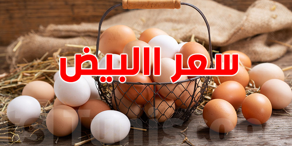 عاجل: قبل رأس السنة هذا هو سعر البيض 