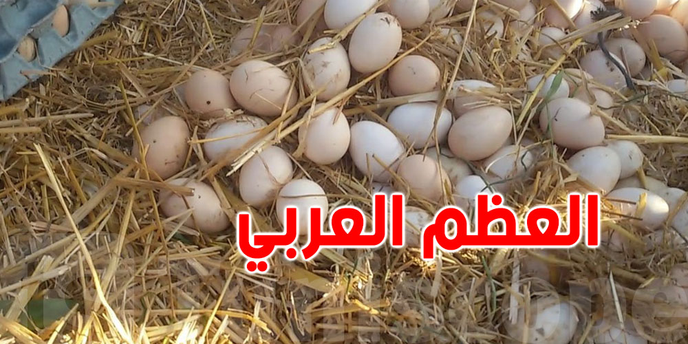 سوم ''حارة العظم العربي'' في تونس
