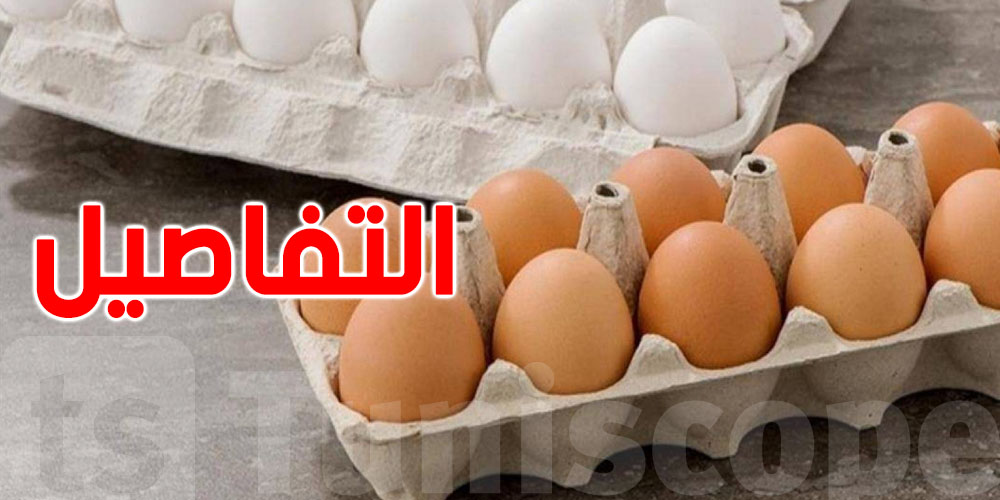 البيض الأبيض ولّا الأحمر: شنوّة الفرق؟