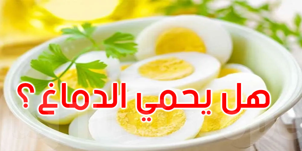 هل يحمي البيض دماغك؟ دراسة تكشف مفاجأة بشأن ألزهايمر