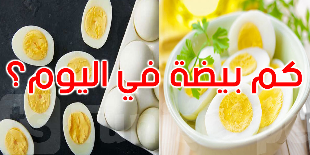  هل تعرف كم بيضة يجب أن تتناول يوميا؟