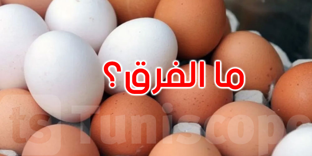 هل هناك فرق بين البيض البني والأبيض؟ الإجابة...