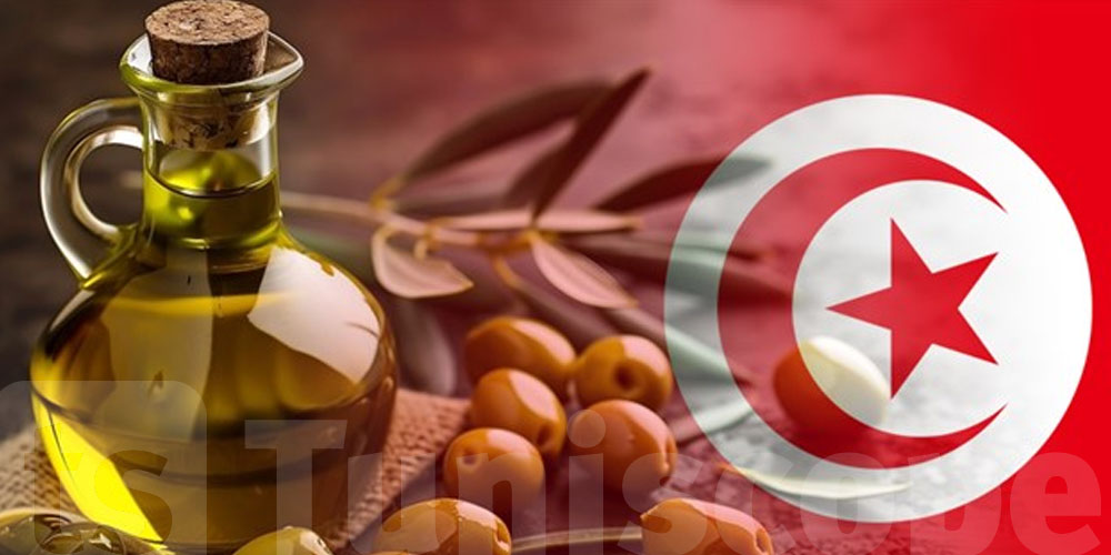 Exportations d’huile d’olive : Plus de 5 milliards de dinars en recettes