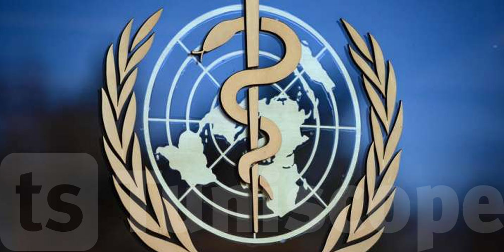 قريبا.. ماجستير ‘الصحة الواحدة’