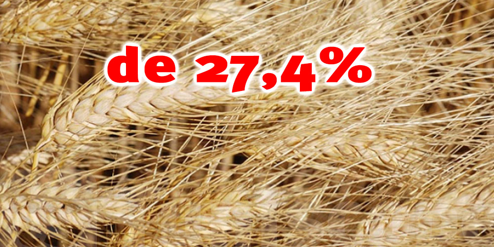 ONAGRI : Baisse du prix moyen du blé tendre européen de 27,4% en septembre 2023