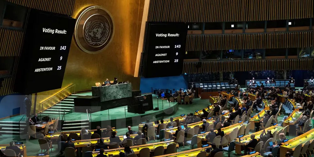 اليوم: تصويت مرتقب في الأمم المتحدة بشأن عضوية فلسطين
