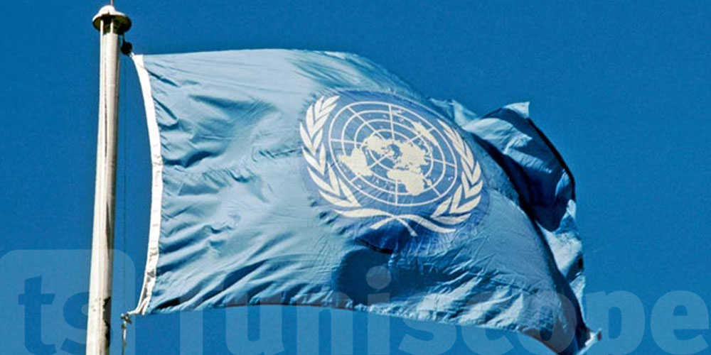 La Tunisie célèbre la Journée internationale des Casques bleus des Nations Unies