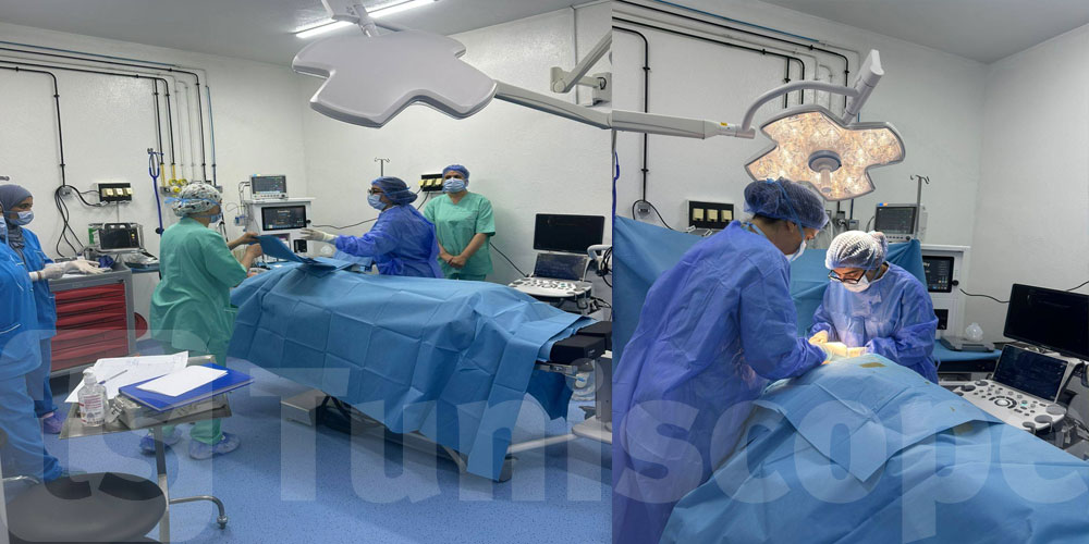 Une première en Tunisie : le dispositif '' LifePort '' utilisé pour une greffe rénale