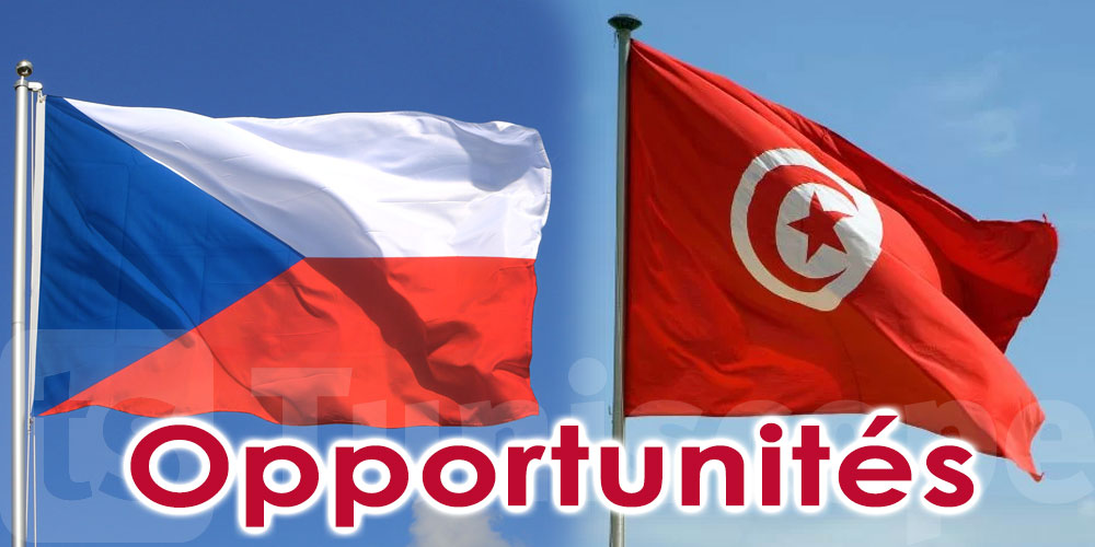 Des opportunités économiques existent entre la Tunisie et la République chèque