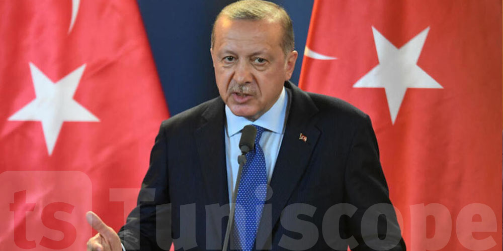 أردوغان يعيّن سفراء جدد لتركيا في هذه البلدان