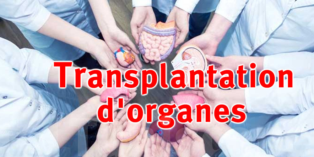 Transplantation d'organes : Plus de 1500 malades en attente