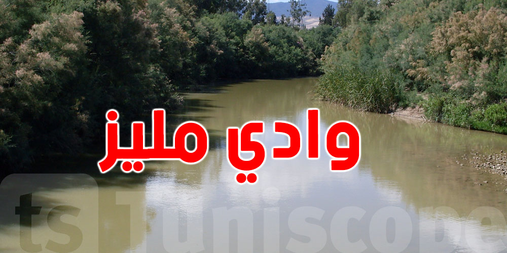 بعد كميات الأمطار الأخيرة...وادي مليز يتصدر بـ 46 مم