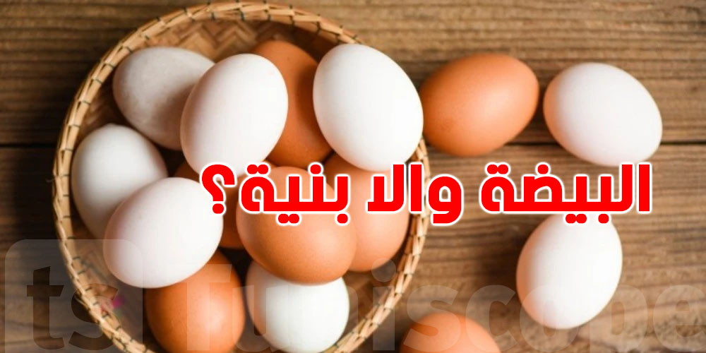 عضمة بيضة ولا بنية؟ شكون فيهم خير؟