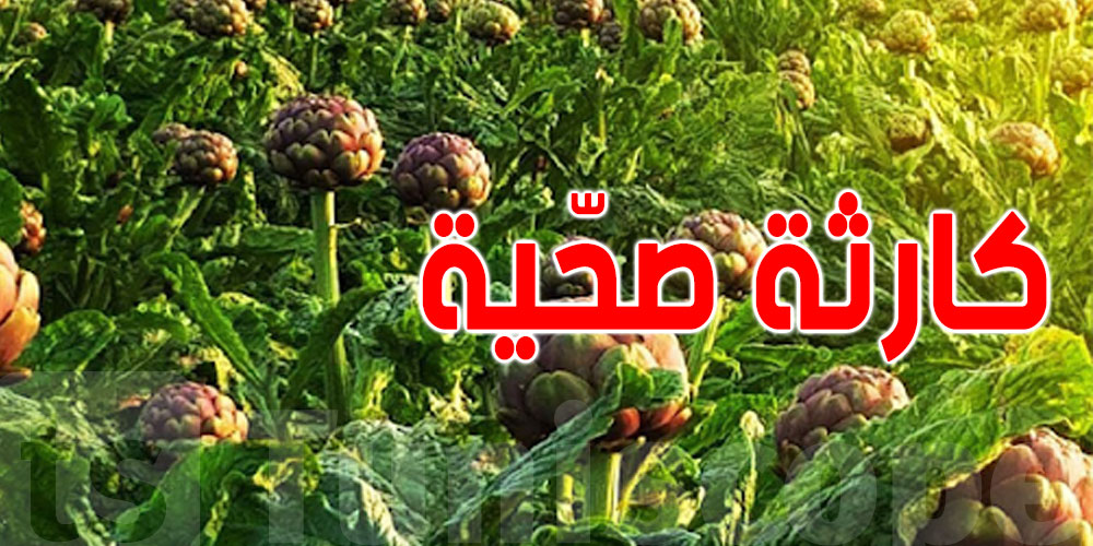 عاجل -أوتيك : مصادرة محركات وقوارير غاز لفلاح و السبب؟