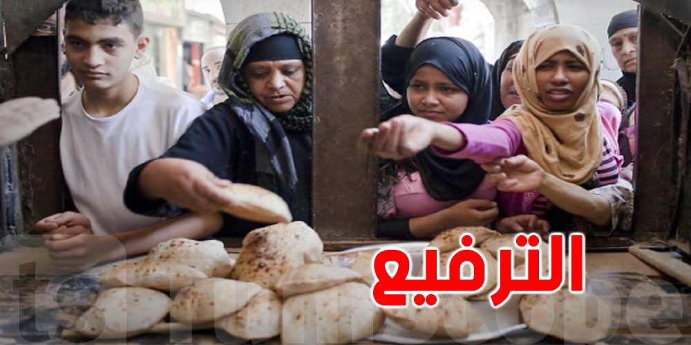 مصر تعلن ا&#