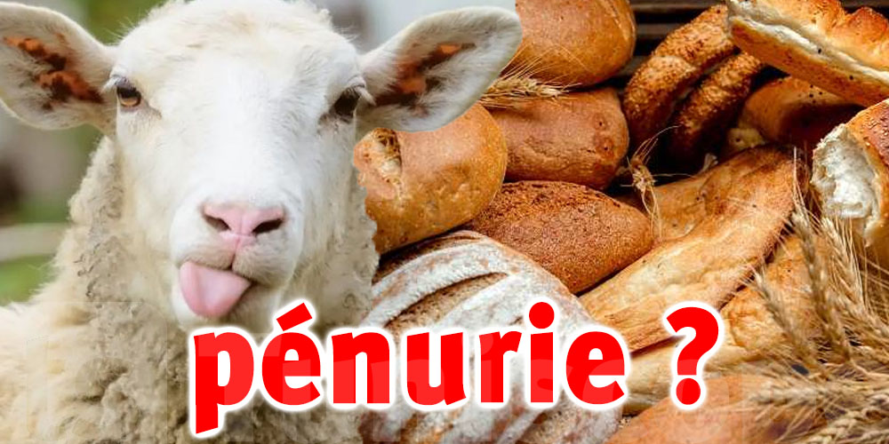 La Tunisie connaîtra-t-elle une pénurie de pain pendant les jours de l'Aïd Al-Adha ?
