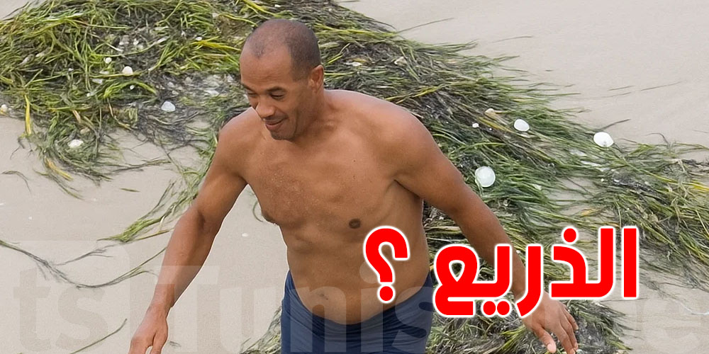 ذريع البحر: نافع ولا يضرّ؟ شنوّة الحقيقة إلّي ما نعرفوهاش