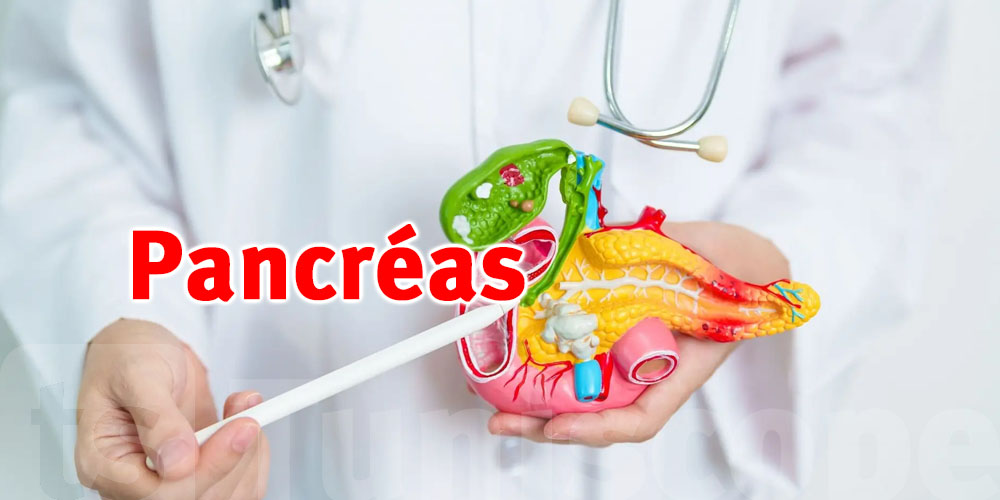 Causes et facteurs de risque du pancréas