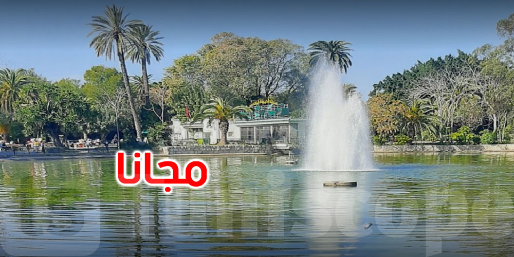 عاجل: البلفيدير يعود للحياة.. وبلدية تونس تعلن عن دخول مجاني استثنائي