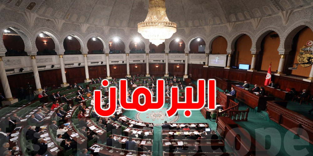 البرلمان: المهاجرون غير النظاميين في تونس يعاملون وفق المواثيق الدولية