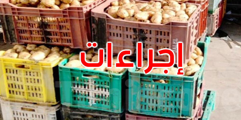 11ألف طن من البطاطا لتعديل السوق: إجراءات جديدة استعدادًا للفجوة الخريفية