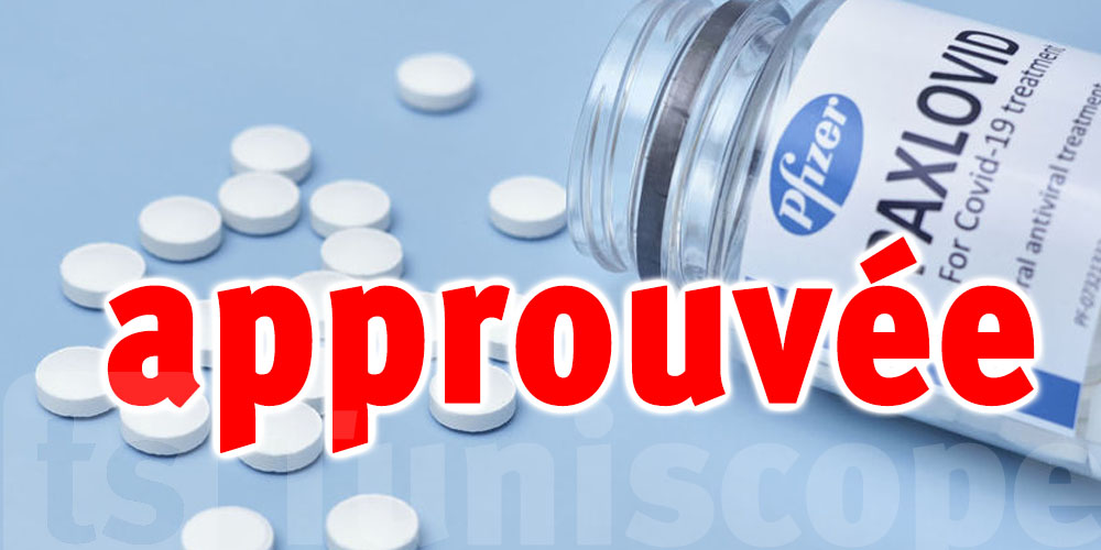 Coronavirus : Paxlovid, la pilule anti-Covid de Pfizer, approuvée par l'UE