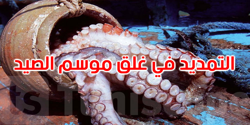 التمديد في غلق موسم صيد الأخطبوط بشهر آخر